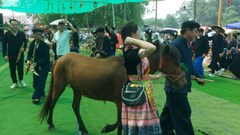 Phiên chợ Sắc màu non nước Cao Bằng hút khách 