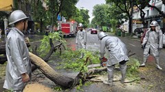 Khẩn trương khắc phục hậu quả bão số 3