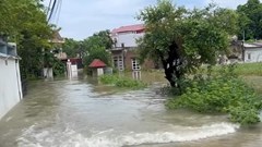 Lũ rừng tràn về, nhiều tuyến đường bị chia cắt 