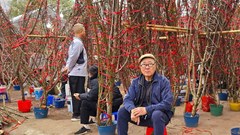 Chợ đầu mối phía Nam nhộn nhịp mua bán hoa ngày cận Tết