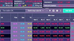 Khối ngoại quay lại mua ròng, VN - Index vẫn mất hơn 12 điểm