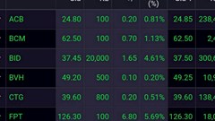 Cổ phiếu ngân hàng tỏa sáng kéo VN - Index tiến sát 1.310 điểm