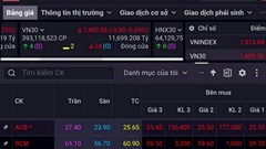 Không chịu nổi sức ép, VN - Index quay đầu giảm điểm