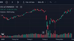 Nhóm cổ phiếu Vingroup giữ nhịp tăng cho VN-Index 