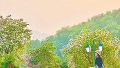 Trại sáng tác - Điểm đến “chill” không thể bỏ lỡ ở Hà Nội