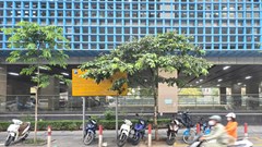 Hà Nội đề xuất hỗ trợ tối đa 5 triệu đồng cho người dân chuyển đổi sang phương tiện xanh 