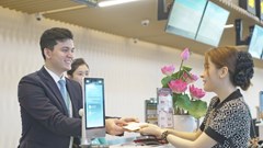 Vietnam Airlines bán vé máy bay khứ hồi quốc tế giá chỉ hơn 4,5 triệu đồng