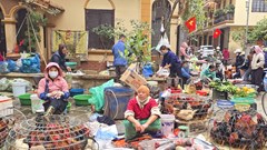 Hà Nội: Xóa chợ cóc và hơn 700 điểm giết mổ gia súc, gia cầm nhỏ lẻ 