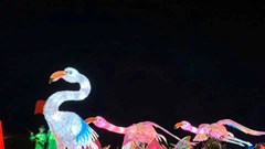  Người “thổi hồn” cho mô hình đèn Trung thu khổng lồ 