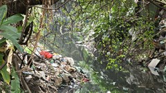 Hà Nội: 17 năm chịu đựng ô nhiễm khi sống cạnh mương Kẻ Khế