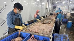 Phát hiện 59 tấn lòng lợn bốc mùi hôi thối chuẩn bị tuồn ra thị trường