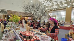 Hội chợ Mùa Xuân 2026: Nơi đặc sản núi rừng vươn tầm quốc tế