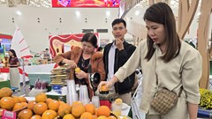 Hội chợ Mùa Xuân 2026: Doanh nghiệp “hái quả ngọt” doanh thu từ nông sản Việt