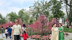  Thảnh thơi dạo phố Hà Nội ngày giáp Tết