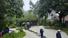 Khách thập phương đội mưa xuân vãn cảnh chùa Địa Tạng Phi Lai 