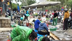 Dân tình hối hả “săn cá” giải ngấy sau Tết