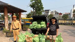 Phát hiện xe bán tải chở 240 bình khí cười