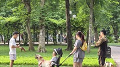 Nỗi bất an của người dân khi đến Công viên Thống Nhất