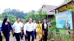 Chuẩn bị cho công tác tiếp nhận, bàn giao Làng Văn hóa - Du lịch các dân tộc Việt Nam 