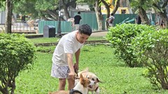 Thả rông chó ở nơi công cộng bị phạt tới 2 triệu đồng