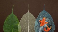 Biến lá bồ đề thành tác phẩm nghệ thuật giá trị
