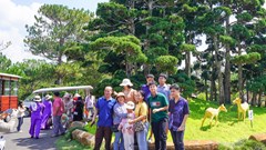 Lâm Đồng: Tăng cường quản lý hoạt động du lịch trong đợt cao điểm hè