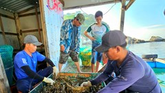 Dự kiến sẽ đón 40 ngàn lượt du khách