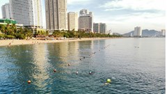 Nha Trang: 500 VĐV tham gia Giải bơi SeaStar Nha Trang Bay 2024