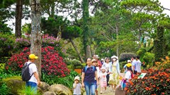 Khách du lịch tăng nhẹ dịp nghỉ Lễ 2.9