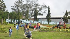 Lâm Đồng: Sẽ tổ chức Festival hoa Đà Lạt lần thứ 10 vào cuối năm