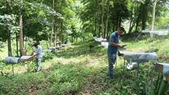 Hướng đến nông nghiệp kết hợp du lịch xanh