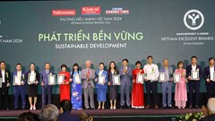 Thương hiệu mạnh, phát triển bền vững Việt Nam 2024 