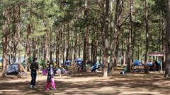 Lâm Đồng: Chấm dứt quy định tạm thời cho thuê môi trường rừng để kinh doanh du lịch