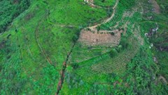 Lâm Đồng: Chính quyền thông tin về vết nứt kéo dài cả 100m trên đồi