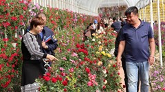 Cơ hội bứt phá cho du lịch canh nông Lâm Đồng