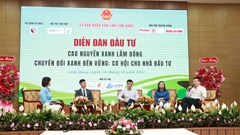 Chuyển đổi xanh bền vững - cơ hội cho nhà đầu tư Lâm Đồng
