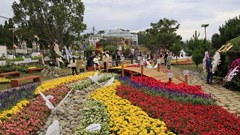 Gần 1 triệu chậu hoa “xuống phố” 