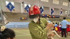 Gia Lai: Đẩy mạnh tuyên truyền phòng - chống bệnh dại 