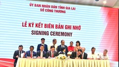 Tăng cường kết nối giao thương giữa DN Gia Lai với DN nước ngoài