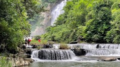 “Thức giấc” thôi… Đam Rông 