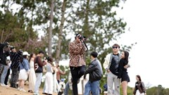 Giới trẻ “phát sốt” với điểm check-in chất lừ giữa lòng Đà Lạt