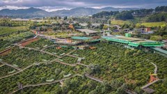  Lâm Đồng: Quán cà phê gây tranh cãi khi giá 8 ly nước gần 900 ngàn đồng