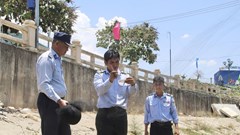 Gia tăng các vụ bẫy, bắt chim yến trái phép 