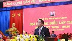 Xây dựng phường Pleiku trở thành điểm đến xanh, văn minh, giàu bản sắc