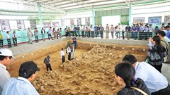 Khẩn trương lập hồ sơ đề nghị công nhận Quần thể khảo cổ Rộc Tưng - Gò Đá là di sản thế giới