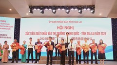 Gia Lai: Xúc tiến kết nối, xuất khẩu vào thị trường Trung Quốc