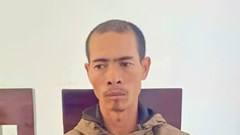 Gia Lai: Anh rể lĩnh án vì chặt phá vườn cà phê, hồ tiêu của em vợ