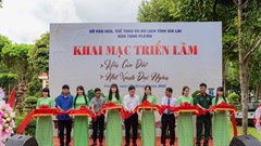 Gia Lai: Khai mạc Triển lãm hồn “Hồn của đất” và trưng bày bonsai “Nét xanh đại ngàn”