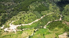 Gia Lai: Đào núi, mở đường trái phép