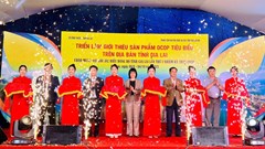 Gia Lai: Hơn 50 gian hàng tham gia Triển lãm sản phẩm OCOP tiêu biểu